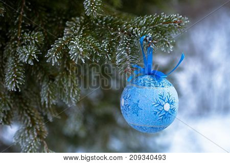 A blue fur-tree toy on a branch of blue fir-tree blue green white Colorado blue spruce Picea pungens covered with hoarfrost. New Year's Bekraund. A place for a copy-paste.