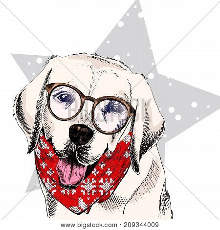 Vector portrait of Labrador retriever dog wearing winter bandana and glasses. Isolated on star snow. Skecthed color illustraion. Christmas Xmas New year. Party decoration promotion greeting card.