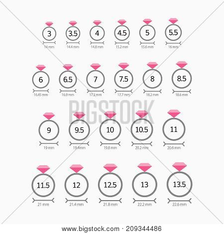 ring size vector  illustration  measure shop stale