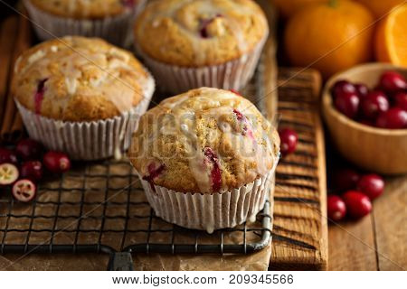 Orange and cranberry muffins with sweet glaze