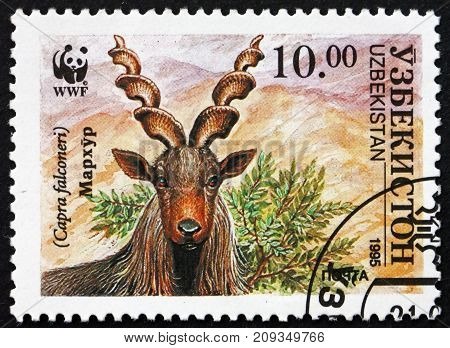UZBEKISTAN - CIRCA 1995: a stamp printed in Uzbekistan shows Markhor Capra Falconeri Screw Horn Goat Wildlife circa 1995