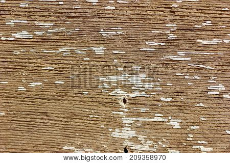 Weathered grunge flakey paint wood macro background