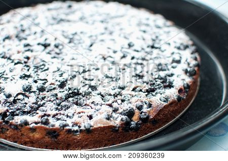 Blackcurrant Tart With Sugar Powder On A Round Baking Tray