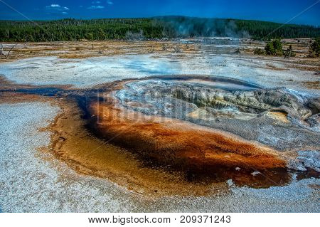 Yellowstone National Park