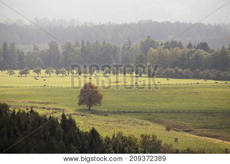 View From The High Hill In The Czech Republic