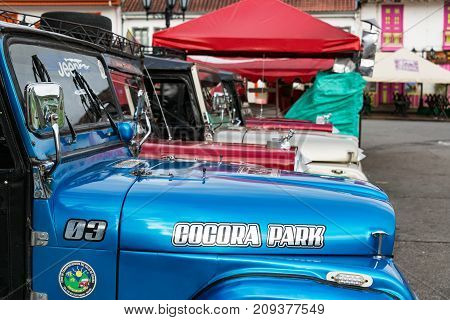 SALENTO COLOMBIA - JUNE 6: Row of Willys Jeeps used for transportation into and out of Cocora Park in Salento Colombia on June 6 2016