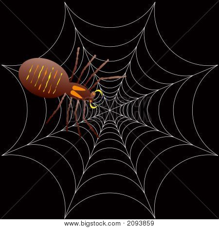 Strašidelné Halloween pavouk