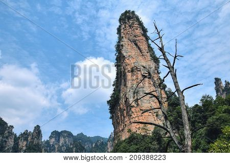 Detail of one of the hills in the Zhangjiajie mountain in Hunan province in China.