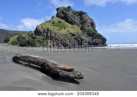 Landscape Of Th Lion Rock On Piha Beach