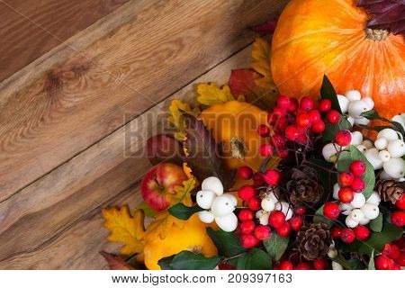 Thanksgiving Background With Ghostberry, Rowan, Pumpkin, Copy Space