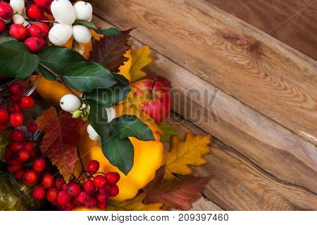 Thanksgiving Background With Snowberry, Rowan, Fall Leaves