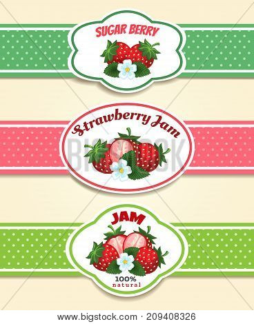 Strawberry fruit label set. Strawberries marmelade or jam retro emblems vector illustration