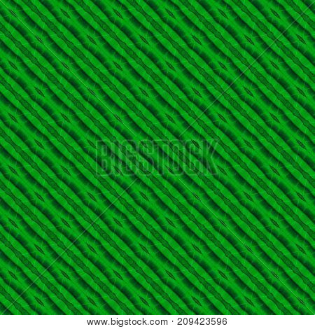 Seamless Pattern Made From Colorful Butterfly Wing For Background Texture