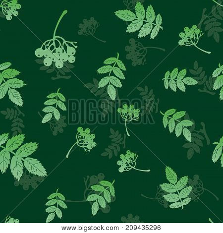 seamless pattern with leaves and berries of mountain ash on a dark green background