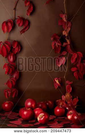 Autumn monochrome still-life in red and burgundy shades. Selective focus.
