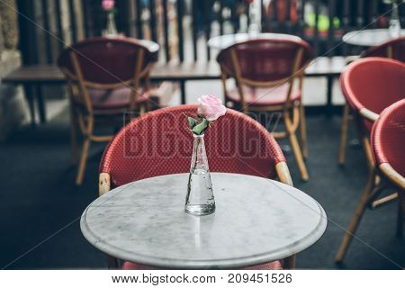 flower in vase on the table of the empty cafe
