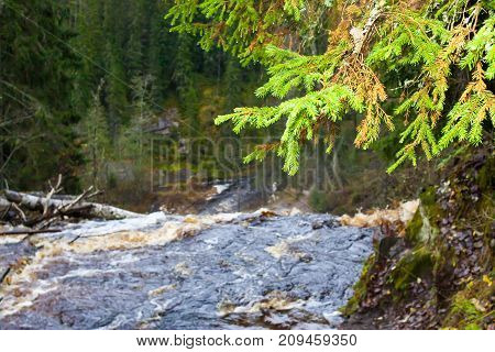 Falls in park in the Karelia, in clear summer day
