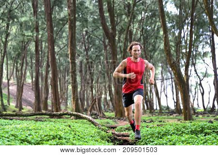 Trail runner man athlete running through forest nature on path sprinting jumping over wood. Sport sprinter active doing high intensity training outdoors in summer landscape.