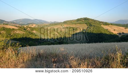 Summer landscape along the road from Urbania to Urbino (Montefeltro Pesaro Urbino Marches Italy)