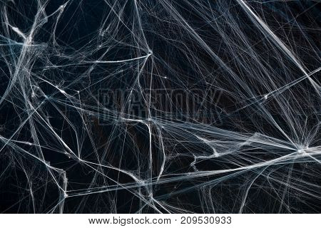 A tangled horror wet decorative spider web on black background