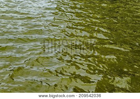 Interesting natural background of water with reflection at lake in Popular north park, Vrabnitsa district, Sofia, Bulgaria