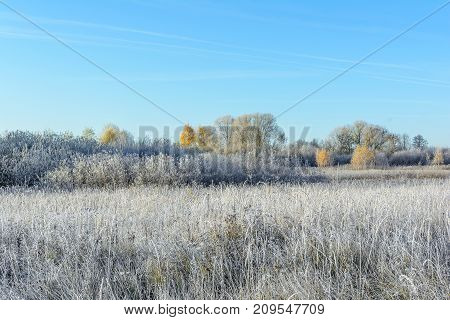 Autumn Autumn Frost first frost Forest Frost Frost In The Field Frost On The Grass Frost On The Leaves Frost On The Meadow Frost On The Trees Frozen Field Frozen Forest Frozen Meadow Grove Late Autumn Meadow Nature Trees