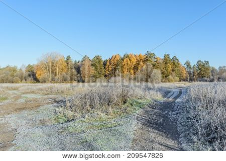Autumn Autumn Frost Dry Plant first frost Frost Frost In The Field Frost On Plants Frost On The Grass Frost On The Leaves Frost On The Meadow Frost On The Trees Frozen Field Frozen Leaves Frozen Meadow Frozen Plant Late Autumn Meadow Nature Road In Frost