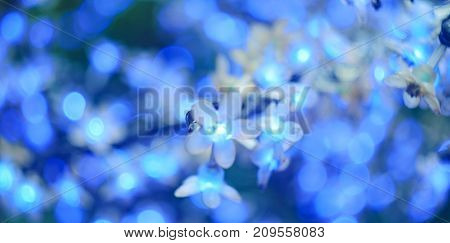Christmas Led Lights In The Form Of Flowers, Blue Bokeh, Selected Focus