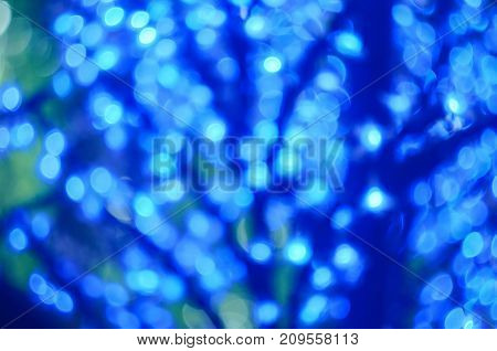 Christmas Led Lights In The Form Of Flowers, Blue Bokeh, Selected Focus