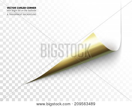 Vector realistic curled corner with bright reflection foil on the backside and shadow. Transparent background realistic vector illustration.