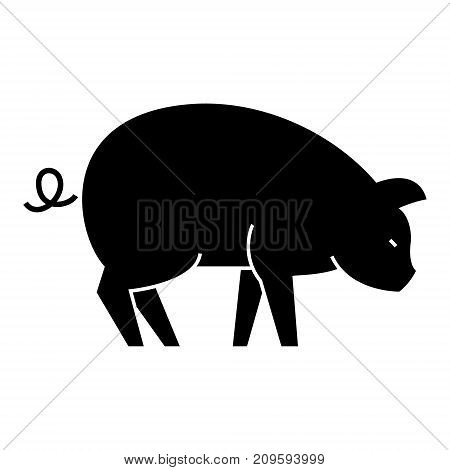 pig  icon, vector illustration, black sign on isolated background