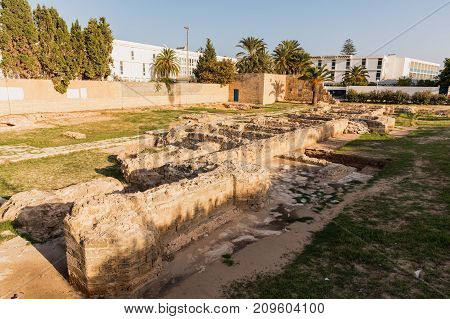 Stone walls of old Ribat fortress and minaret of the Grand Mosque through the lush palms of local garden. Ribat in Monastir is nearly 1200 years old in Monastir. Tunisia.