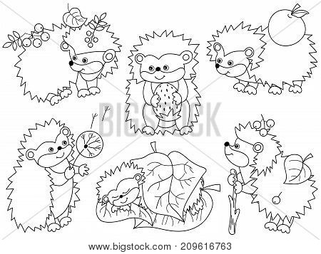 Vector set of black and white cute cartoon hedgehogs, leaves, berries, apple and strawberry. Vector hedgehog. Hedgehogs vector illustration