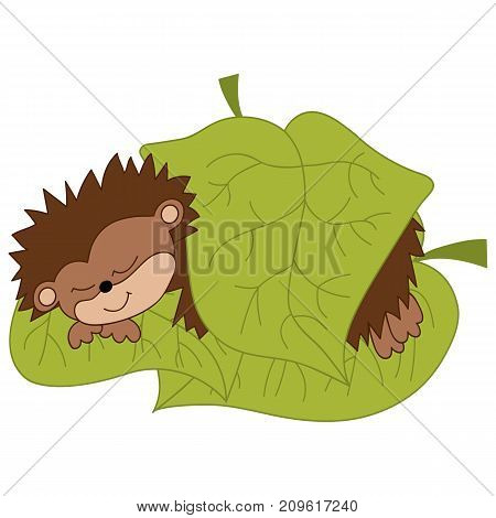 Vector cute hedgehog sleeping under the leaf. Vector hedgehog. Hedgehog vector illustration