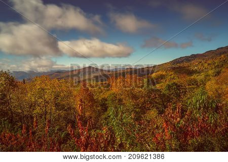 Autumn Colors Along the Blue Ridge Parkway in North Carolina