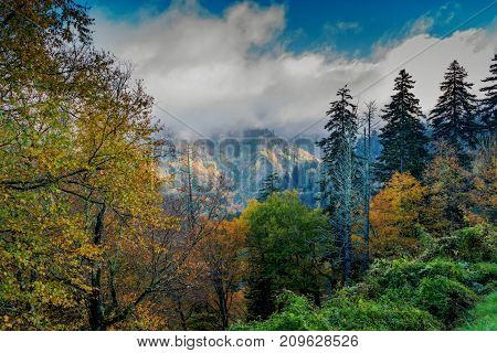 Autumn in the foggy Smoky Mountains National Park in the State of Tennessee