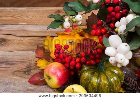 Fall Background With Snowberry, Rowan, Green And Yellow Squash