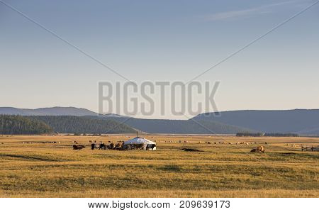 mongolian ger in a landscape of northern Mongolia