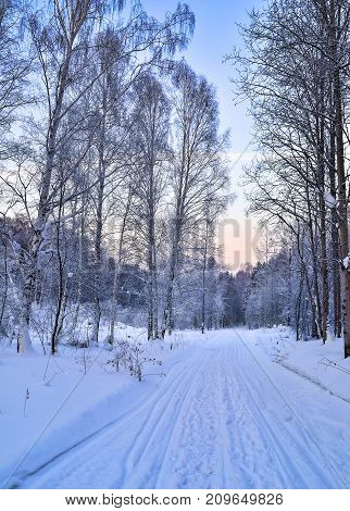 Gentle winter pink morning on a snowy forest road with footprints and ski tracks on the snow goes into the distance - beautiful soft colors of winter landscape