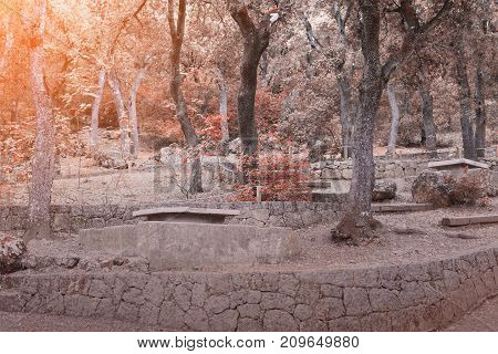 Autumn landscape of stone bench area with trees and sunrise or sunset lights
