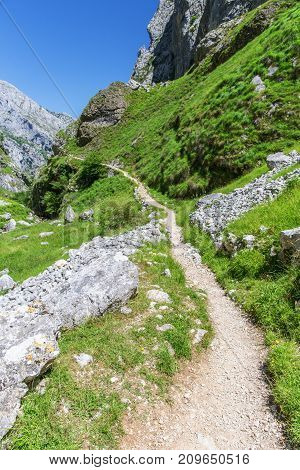Footpath in mountains Picos de Europa Spain in summer sunny day. On both parties of a footpath a green grass in the distance taluses and stony slopes