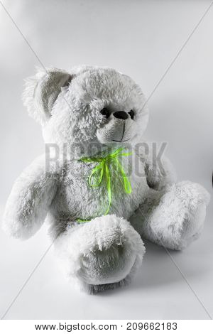 Plush Bear In Classic Style