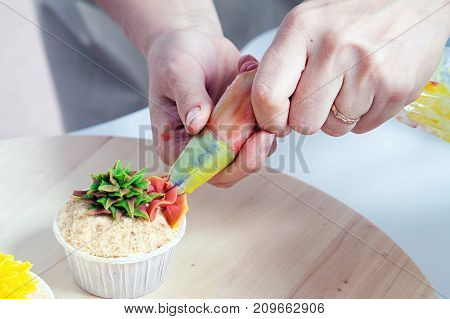 Confectioner Decorates  Cupcake