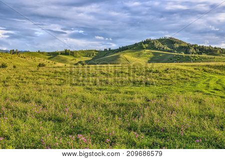Picturesque mountain sunny landscape of green mountain hills flowering meadow with lilac wild cornflowers and beautiful cloudy sky at bright summer day - admirable sunshine landscape of Altai mountains Russia