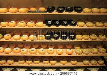 Traditional Dutch cheeses on display in a store