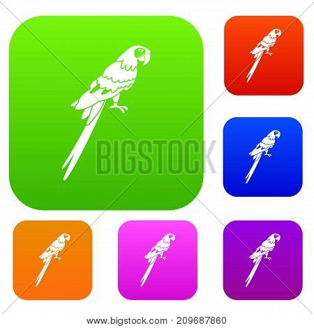 Brazilian parrot set icon color in flat style isolated on white. Collection sings vector illustration