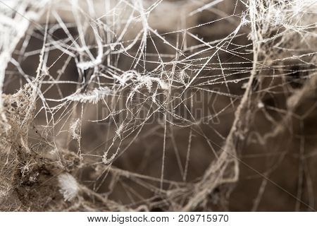 background from the old web . Photo of an abstract texture