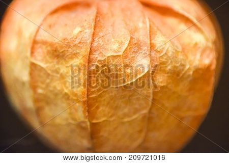 Abstract Phisalys Background Chinese Lantern Orange Macro