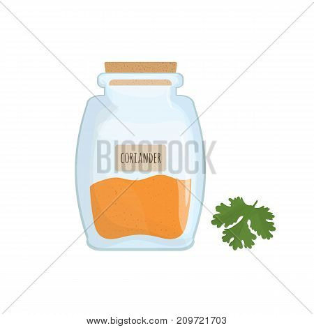 oriander seeds stored in glass jar isolated on white background. Aromatic herb, food spice or condiment, cooking ingredient in closed transparent container. Colorful vector illustration