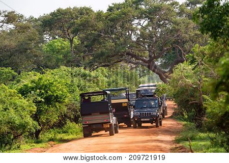 YALA, SRI LANKA - DECEMBER, 2016: Scenic view of tropical dry forest and road with safari vehicles in Yala National Park, Sri Lanka